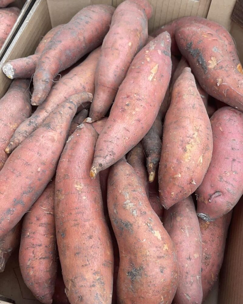 Øko Søde kartofler