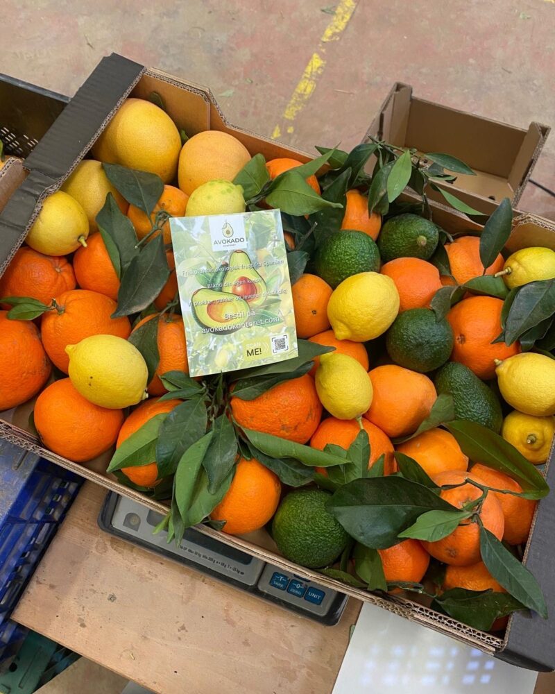 10 kg "tasting kasse"