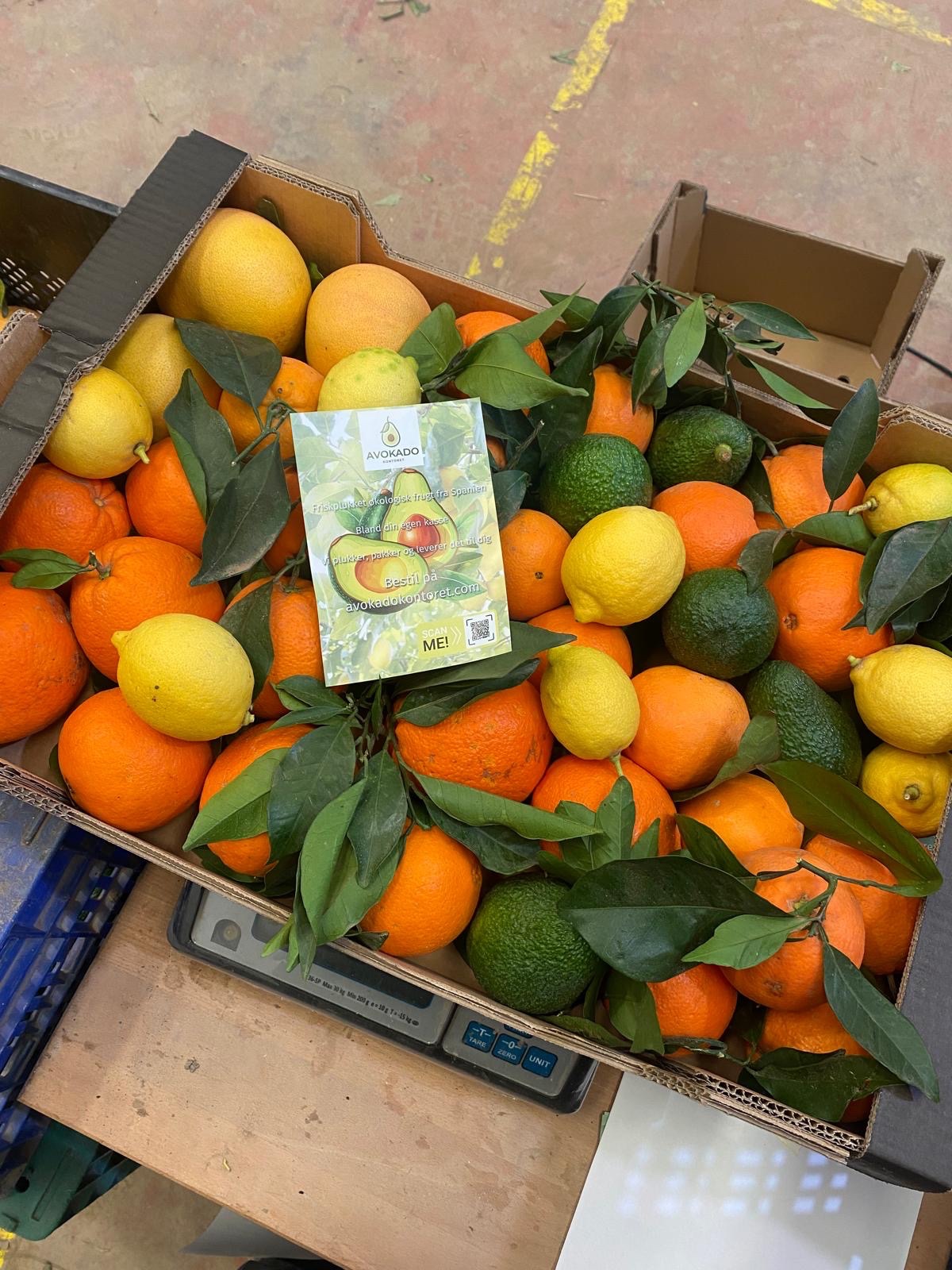 10 kg "tasting kasse"