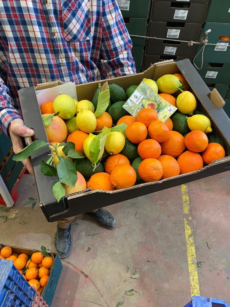 Økologisk Bland selv kasse