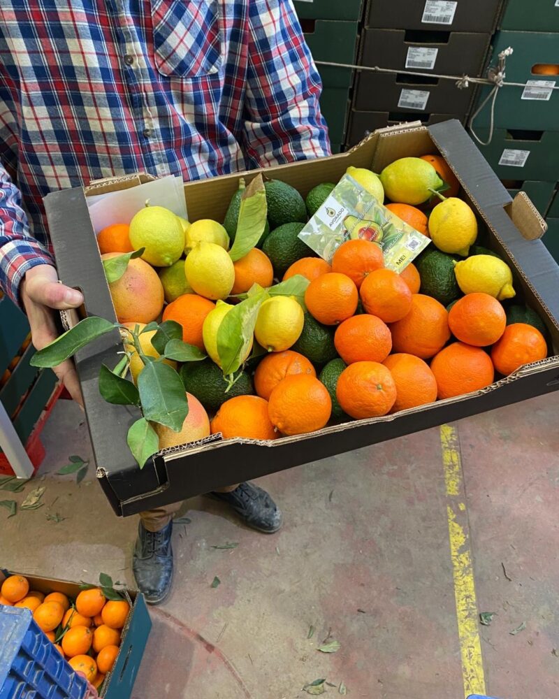 Økologisk Bland selv kasse