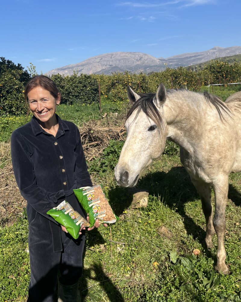 Ristede saltede Cashew nødder