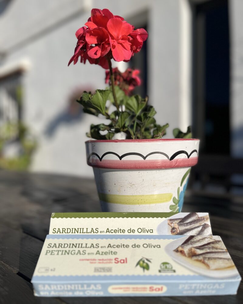 Sardiner i olie