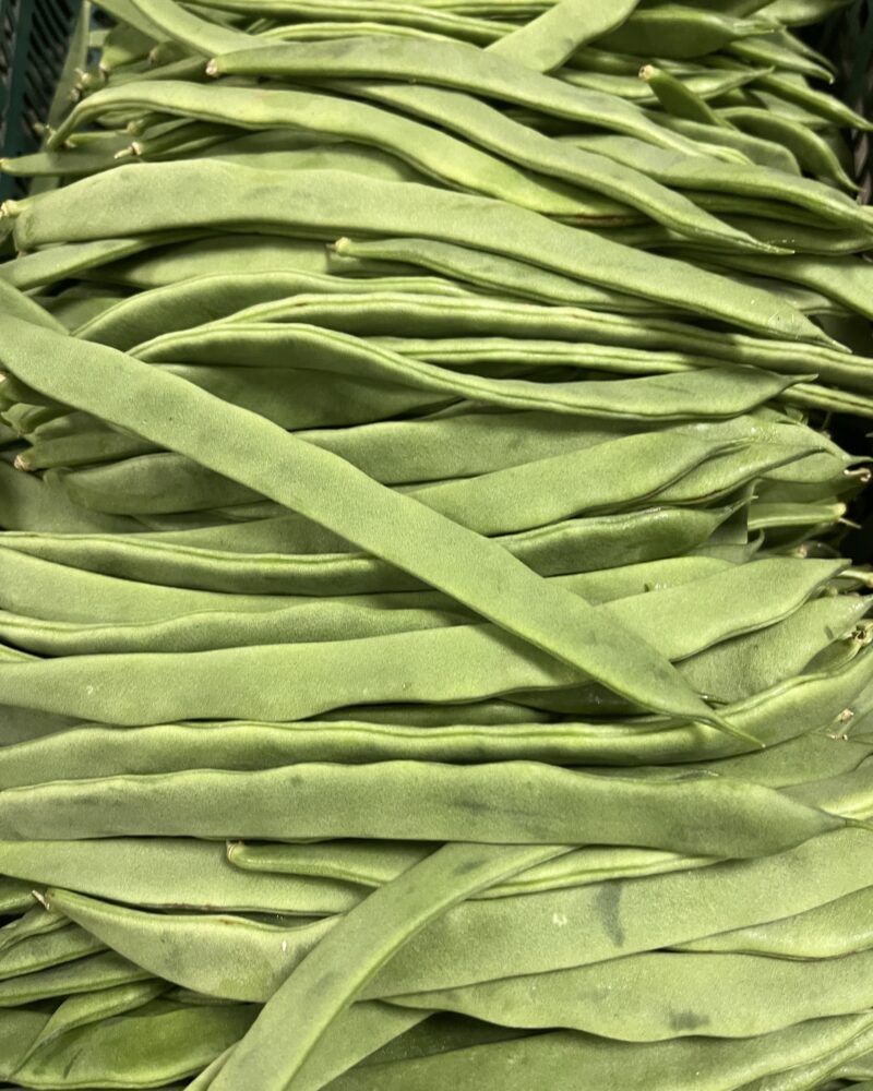 2 kg flade grønne spanske bønner