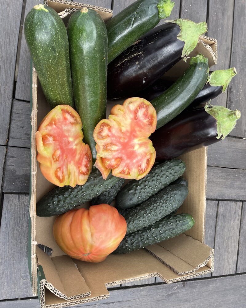 5 kg mix grøntsagskasse