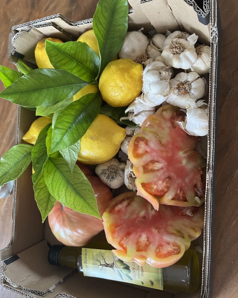 Spansk tomatsalat kasse