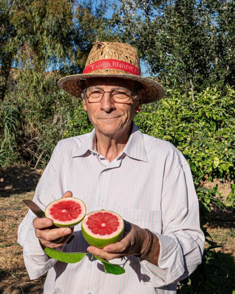 Økologiske Grapefrugt