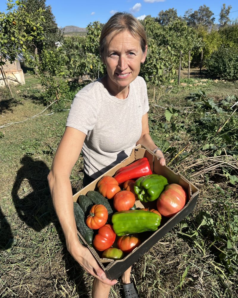 Økologiske grøntsager