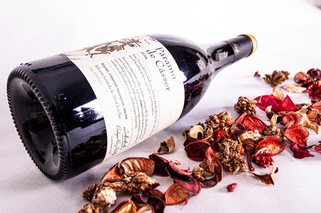 Páramo de cásser reserva - rødvin