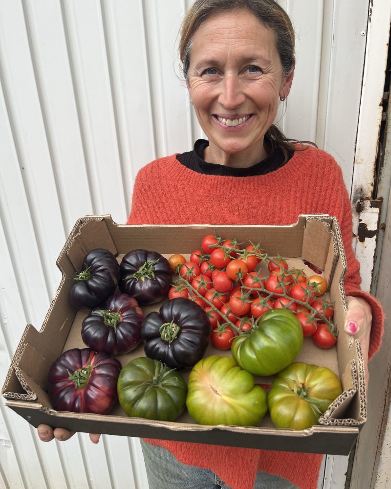 3 kg sæsosens spanske tomater